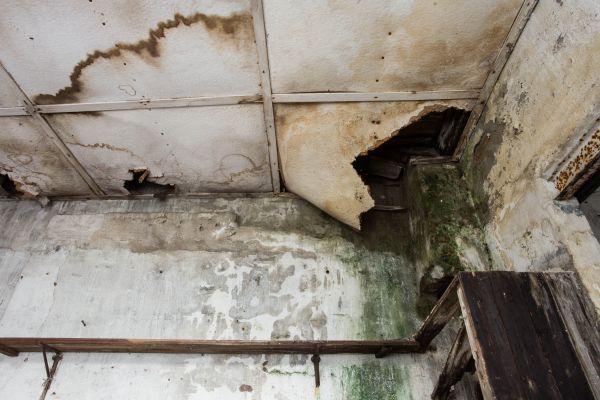 Water Damage Service in Oconomowoc