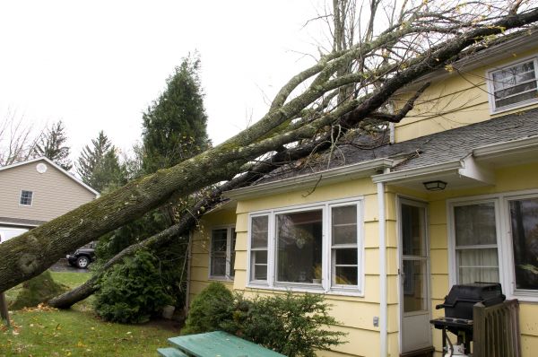 Storm Damage Mitigation in Oconomowoc